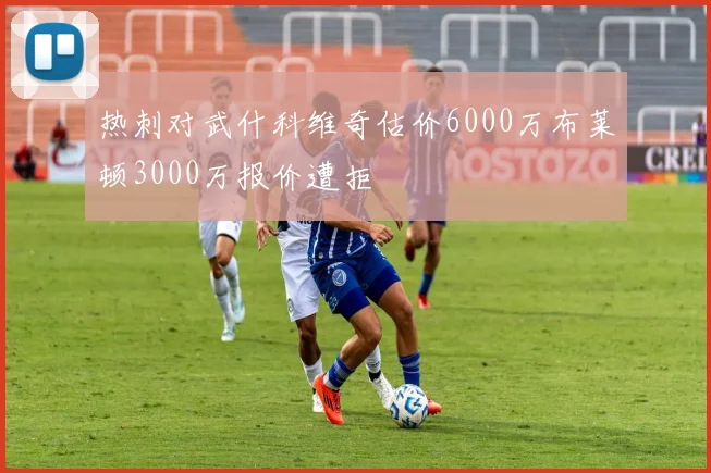热刺对武什科维奇估价6000万布莱顿3000万报价遭拒