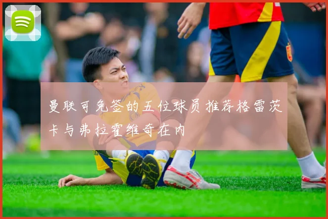 曼联可免签的五位球员推荐格雷茨卡与弗拉霍维奇在内