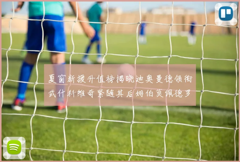 夏窗新援升值榜揭晓迪奥曼德领衔武什科维奇紧随其后姆伯莫佩德罗表现抢眼