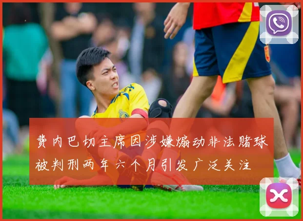 费内巴切主席因涉嫌煽动非法赌球被判刑两年六个月引发广泛关注