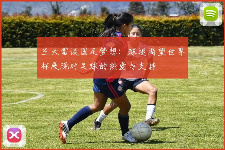王大雷谈国足梦想：球迷渴望世界杯展现对足球的热爱与支持